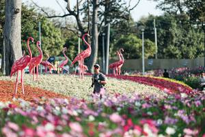 BIB: 
                            <button type="button" onclick="openModal(27344307)" class="btn btn-primary btn-sm float-right btn-popup" data-toggle="modal" data-target=".modal-high-quality">
                        <i class="fas fa-shopping-cart"></i> Add to Cart
                    </button>
                                            <button type="button" onclick="isThisMe(27344307, true)" class="btn btn-success btn-sm float-right btn-popup btn-isme hidden" data-toggle="tooltip" data-placement="bottom" title="นี่คือรูปของคุณใช่ไหม คลิกที่นี่เพื่อเอาเข้าอัลบั้ม">
                        <i class="fas fa-plus"></i> Add to album
                    </button>
                    <button type="button" onclick="isThisMe(27344307, false)" class="btn btn-warning btn-sm float-right btn-popup btn-isnotme hidden">
                        <i class="fas fa-ban"></i> Remove from album
                    </button>